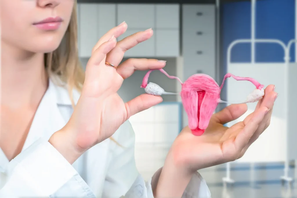 Medical provider holds an anatomical model of a uterus and ovaries in both hands.